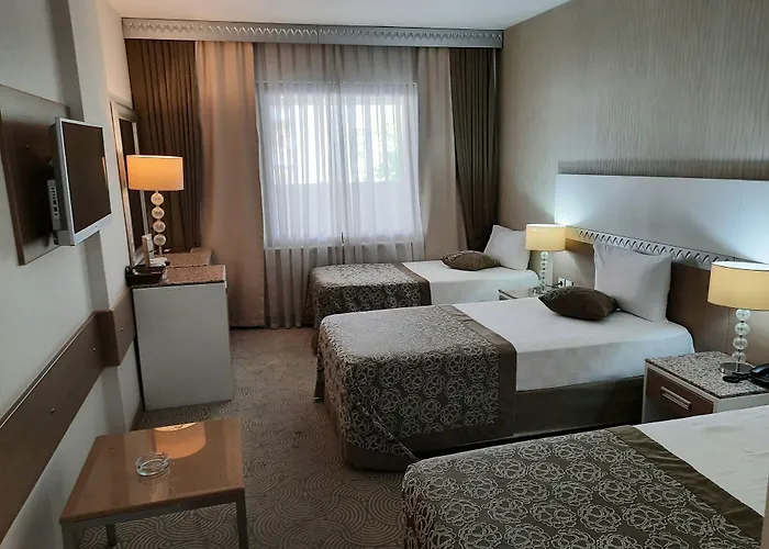 Hotel Nadir Business